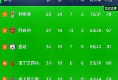 关于阿森纳2024-2025赛季联赛积分(fēn)排名的信息