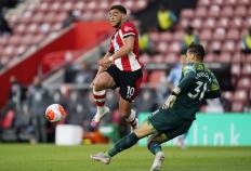 虎扑中国-南安普顿球员评分(fēn)(南安普顿的球衣)