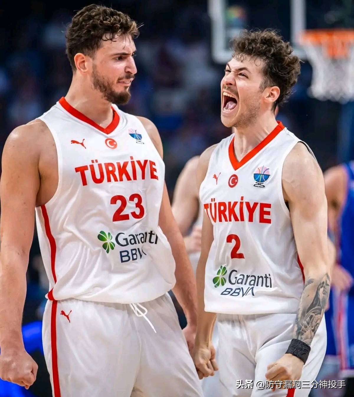 虎扑评分-阿尔佩伦·申(shēn)京土(tǔ)耳其魔术师(阿尔佩伦申(shēn)京臂展)